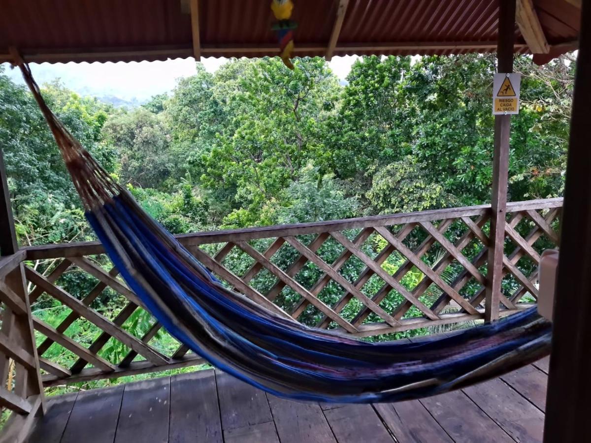 Deep Forest Posadas Ecoturisticas الزينو المظهر الخارجي الصورة