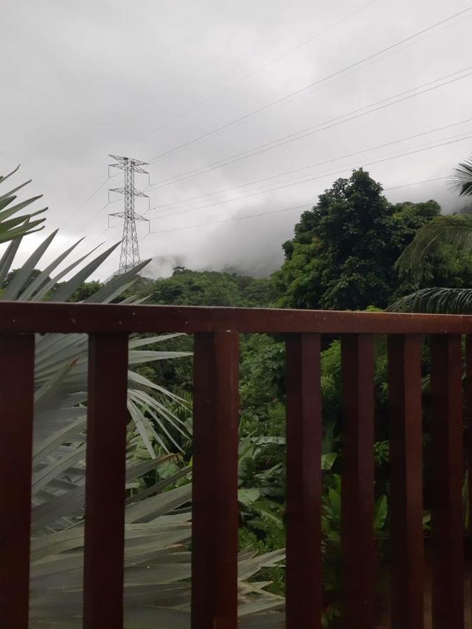 Deep Forest Posadas Ecoturisticas الزينو المظهر الخارجي الصورة