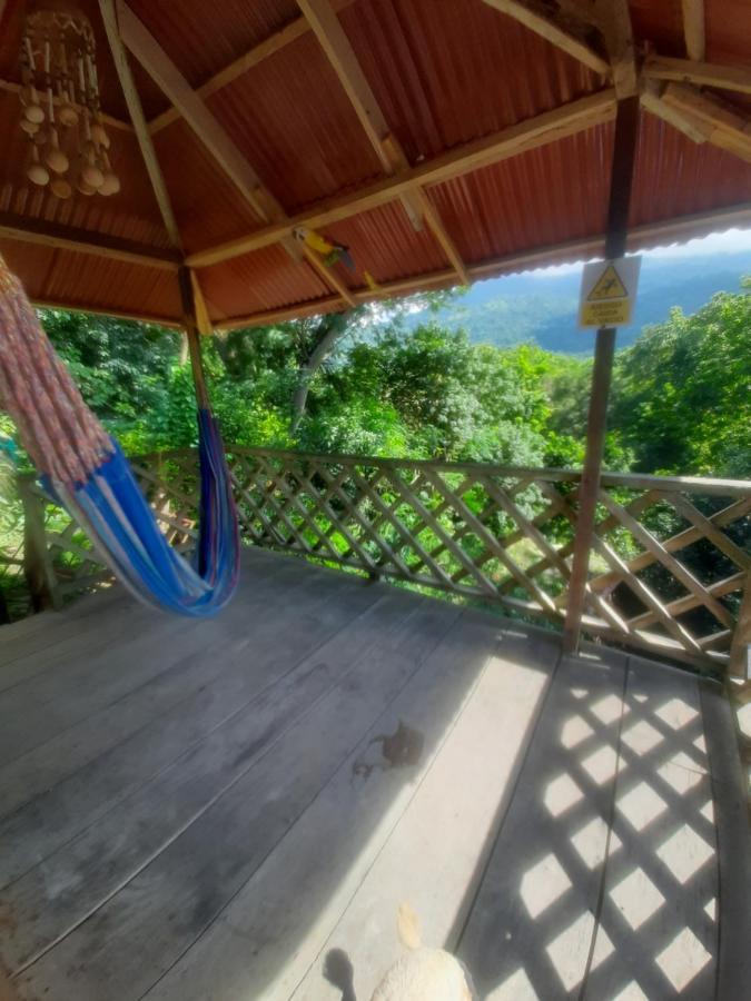 Deep Forest Posadas Ecoturisticas الزينو المظهر الخارجي الصورة
