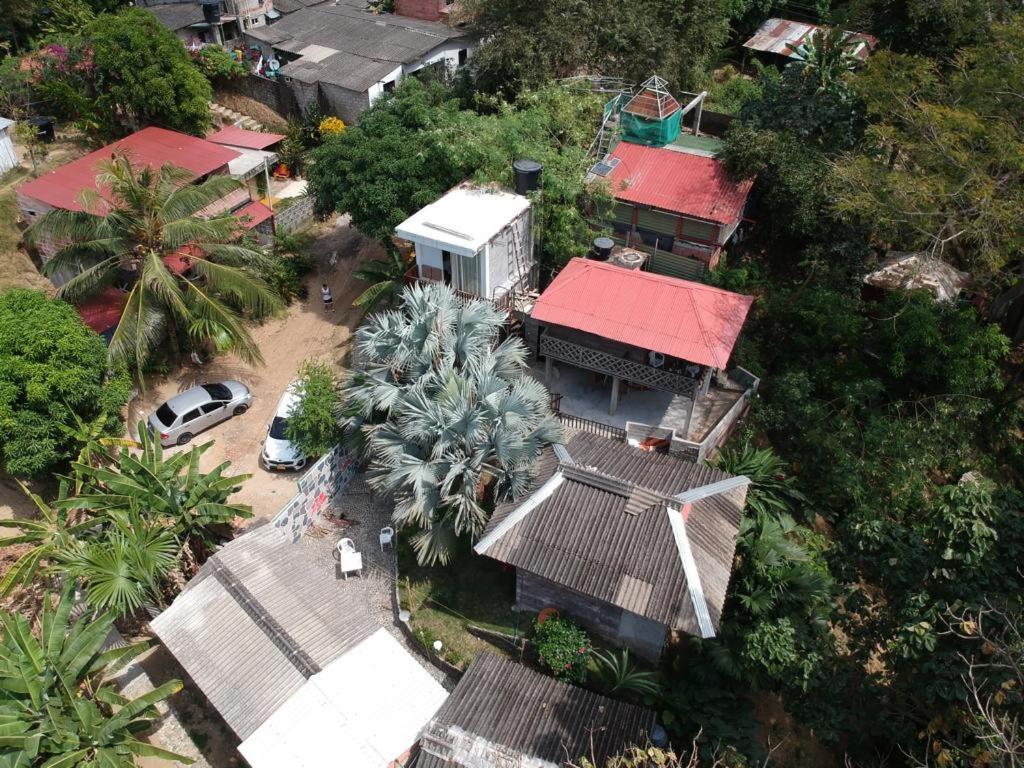 Deep Forest Posadas Ecoturisticas الزينو المظهر الخارجي الصورة