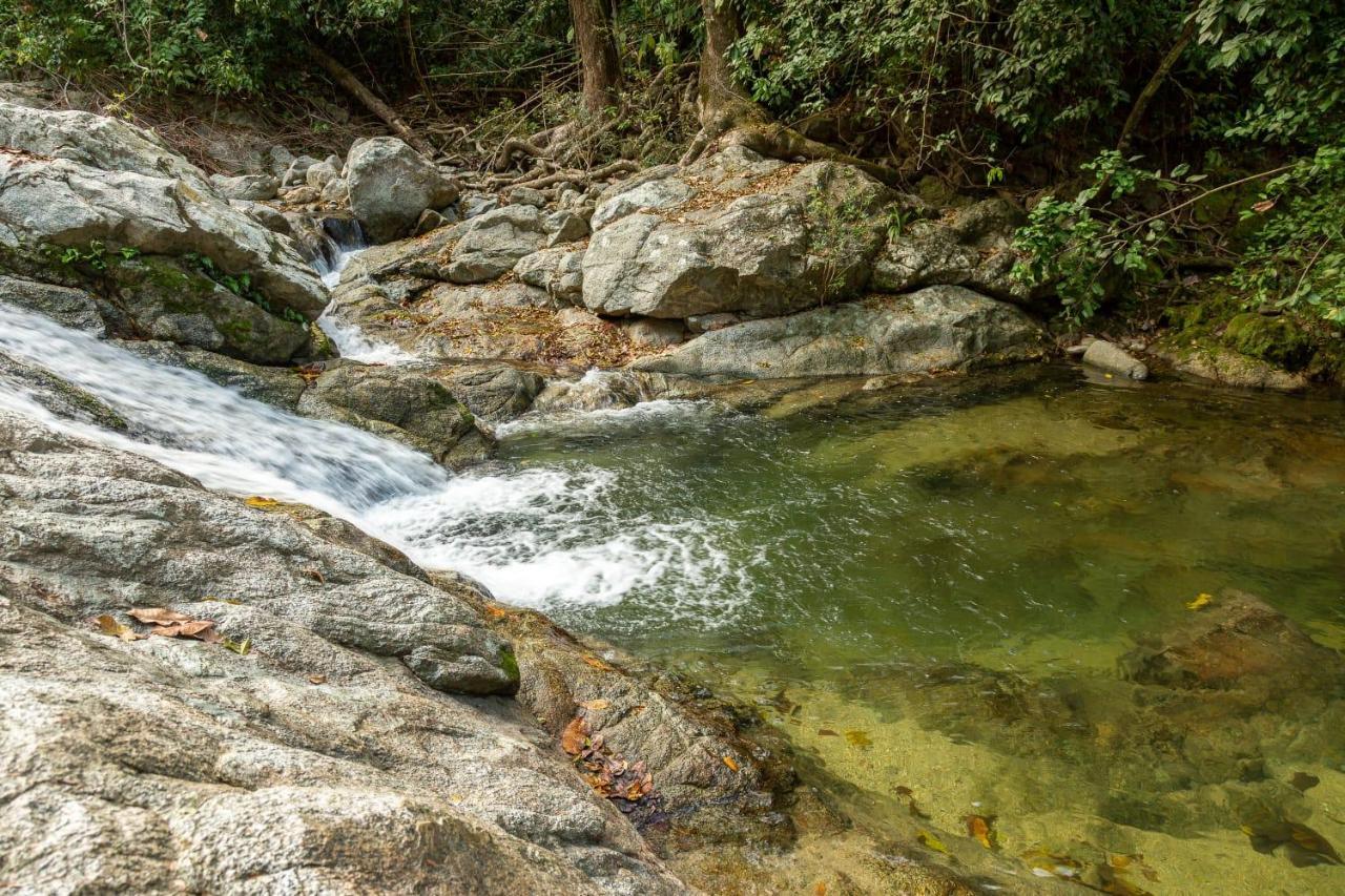 Deep Forest Posadas Ecoturisticas الزينو المظهر الخارجي الصورة