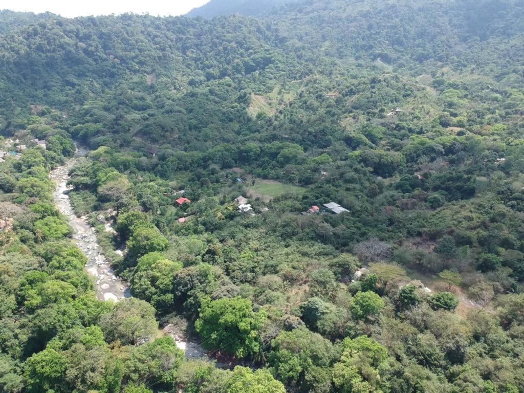 Deep Forest Posadas Ecoturisticas الزينو المظهر الخارجي الصورة