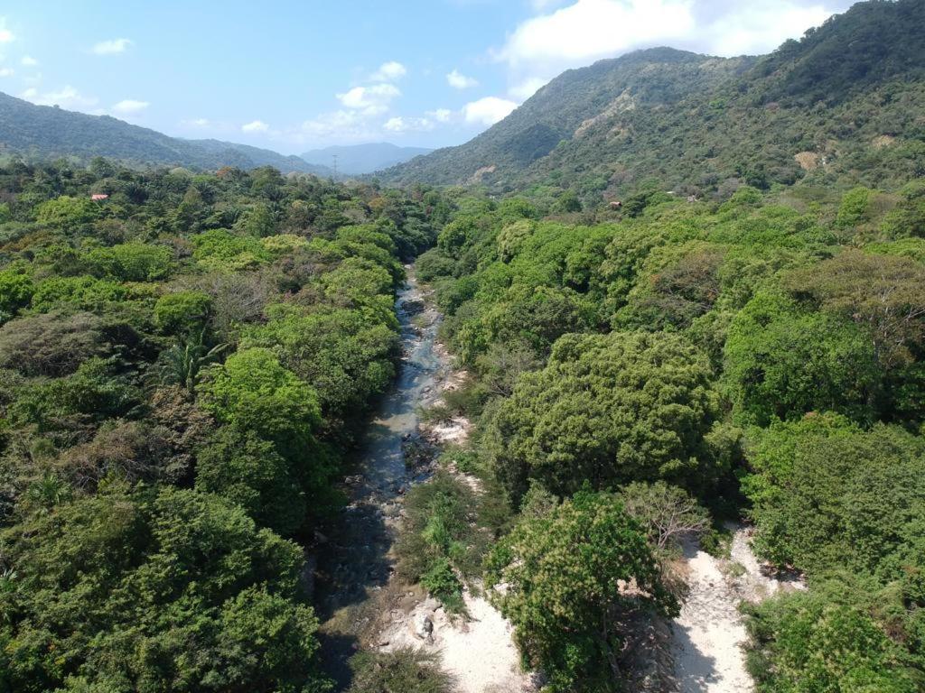 Deep Forest Posadas Ecoturisticas الزينو المظهر الخارجي الصورة
