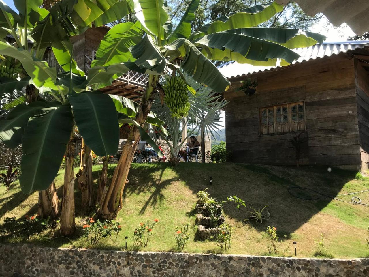 Deep Forest Posadas Ecoturisticas الزينو المظهر الخارجي الصورة