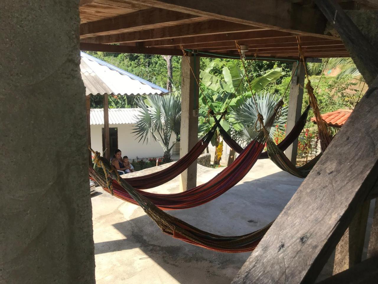 Deep Forest Posadas Ecoturisticas الزينو المظهر الخارجي الصورة
