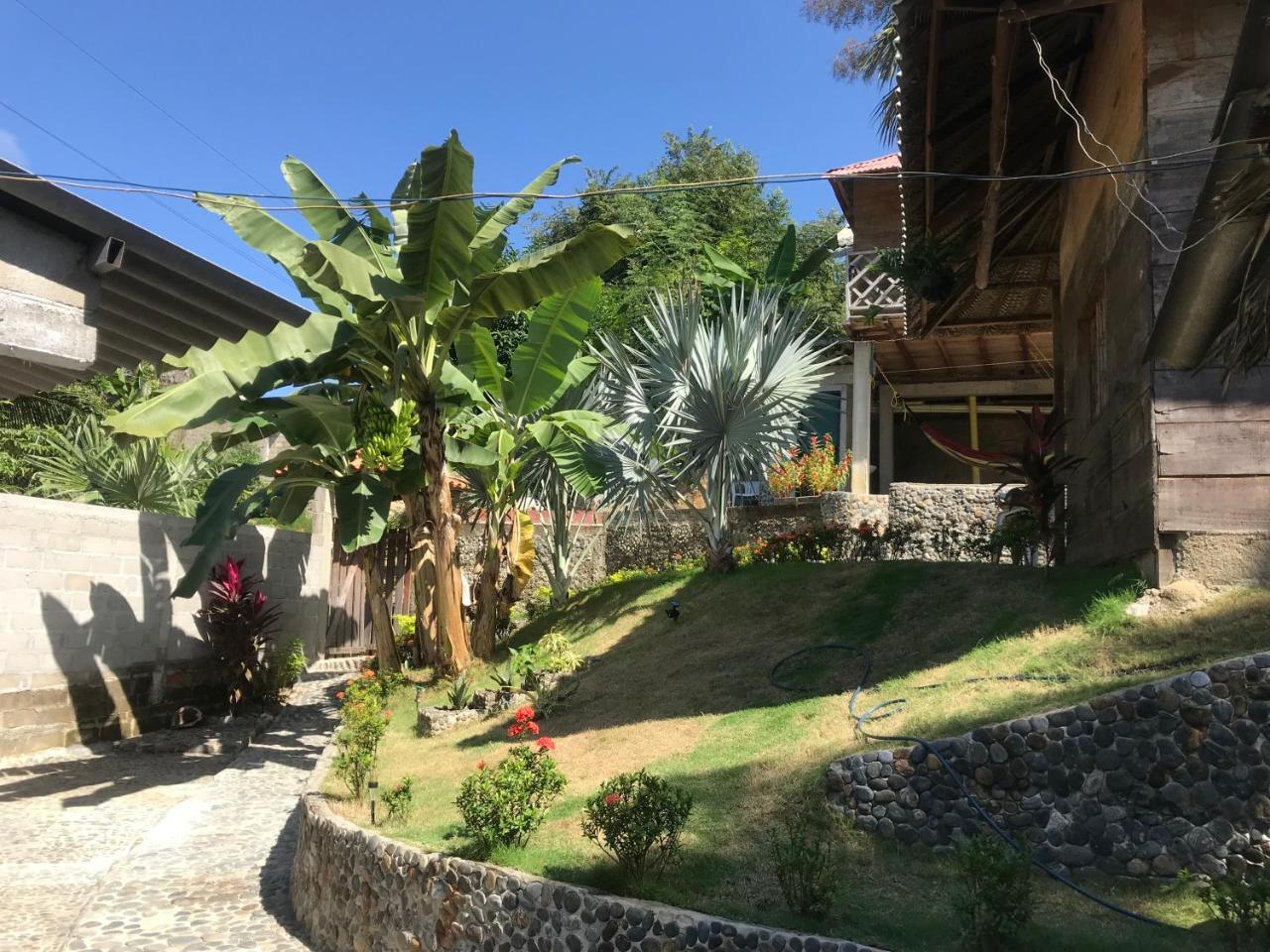 Deep Forest Posadas Ecoturisticas الزينو المظهر الخارجي الصورة