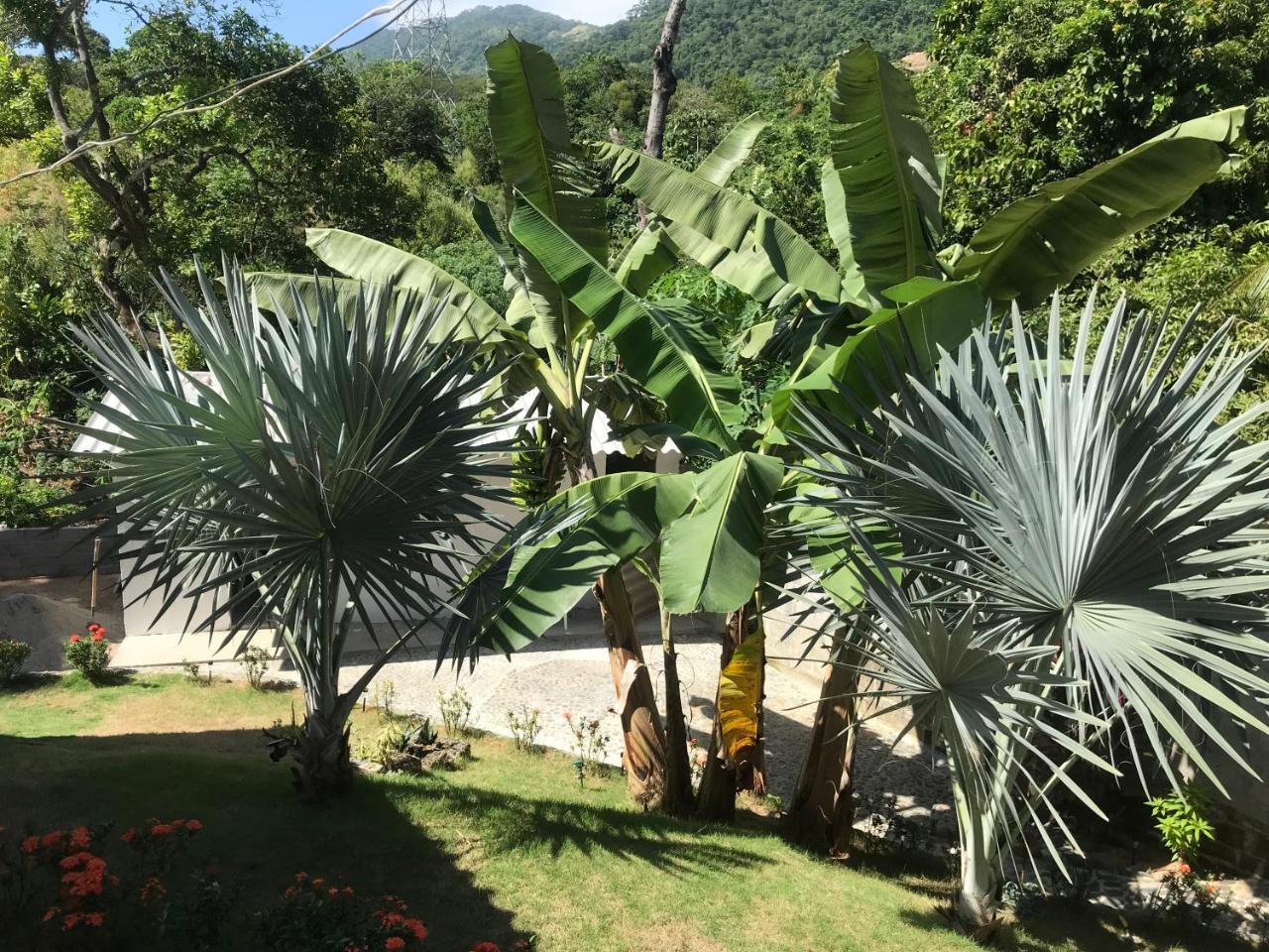 Deep Forest Posadas Ecoturisticas الزينو المظهر الخارجي الصورة